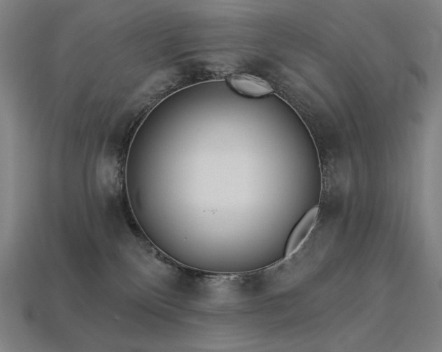 X0000113960136200909251408