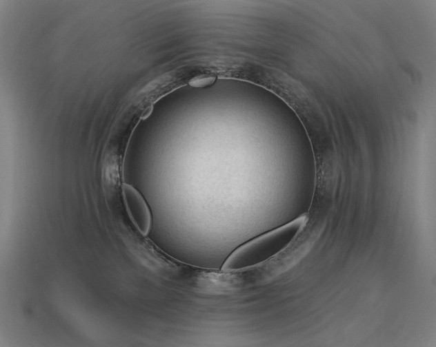 X0000113960137200909251408