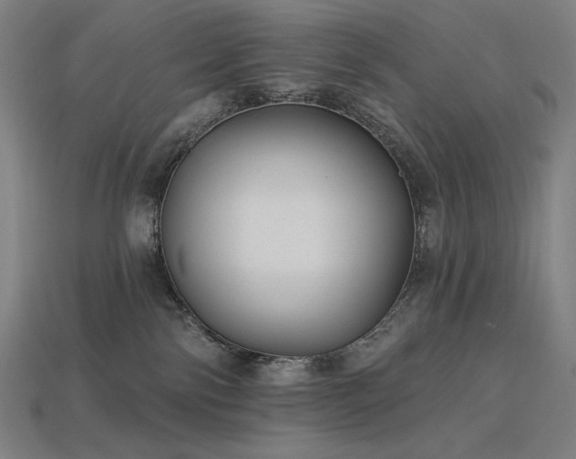 X0000113960138200909251408