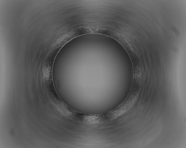 X0000113960139200909251408