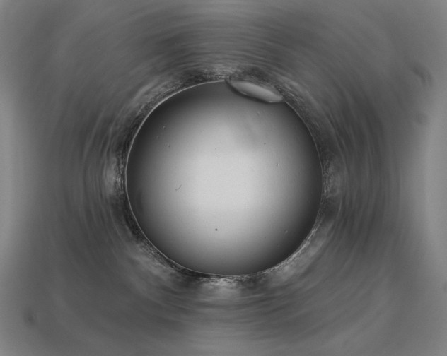 X0000113960140200909251408