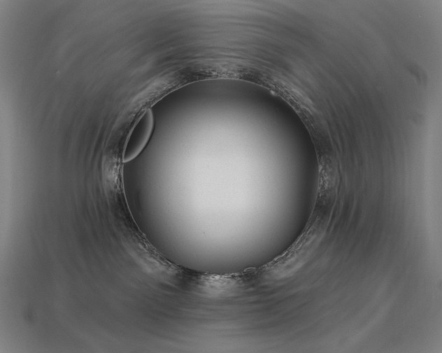 X0000113960141200909251408