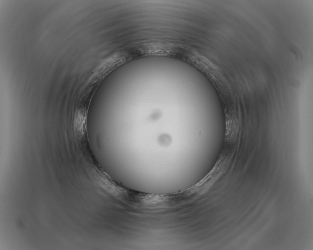 X0000113960142200909251408