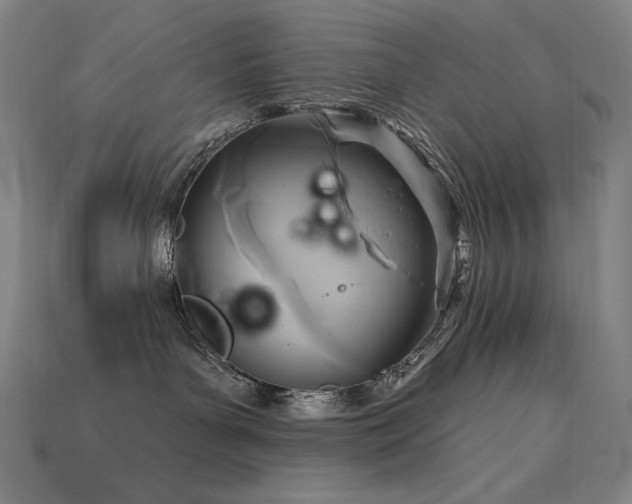 X0000113960143200909251408