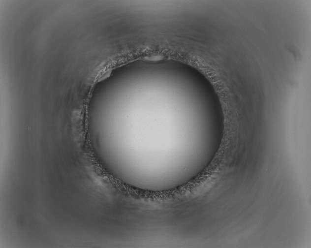 X0000113960144200909251408