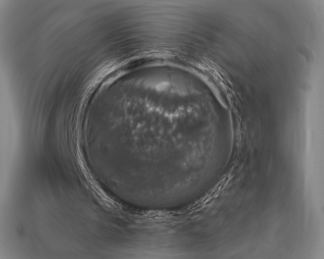 X0000113960145200909251407