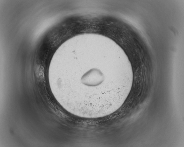 X0000113960146200909251408