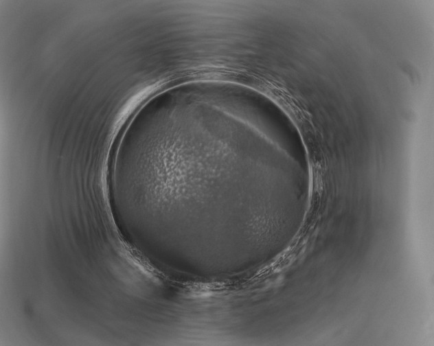 X0000113960147200909251408