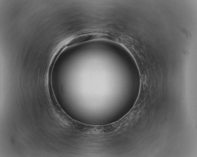 X0000113960148200909251408