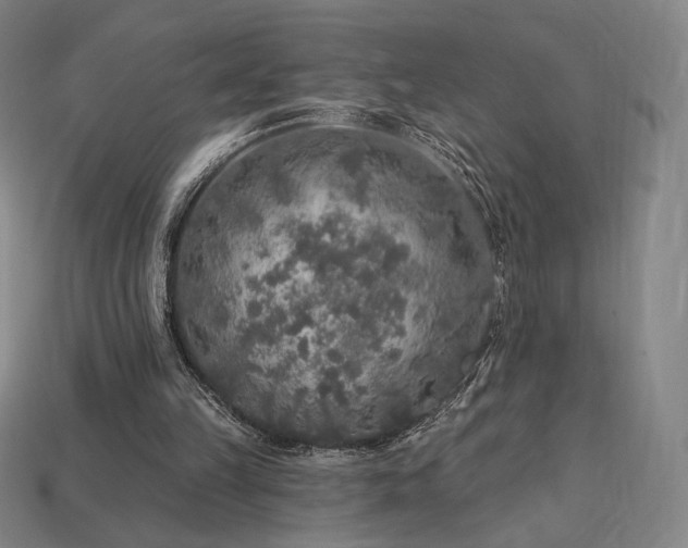 X0000113960149200909251408