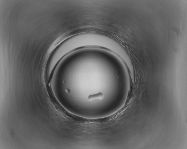 X0000113960150200909251408