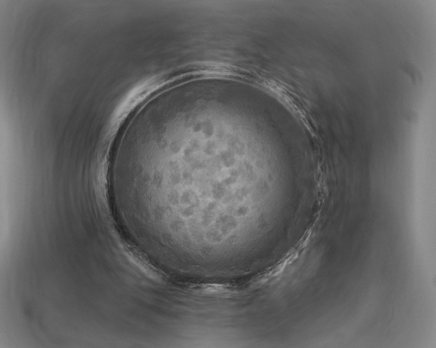 X0000113960151200909251408