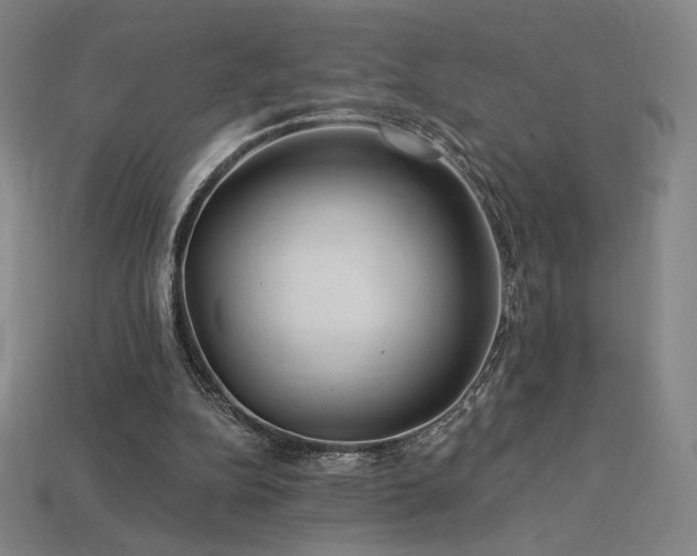 X0000113960152200909251408