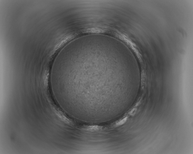 X0000113960153200909251408