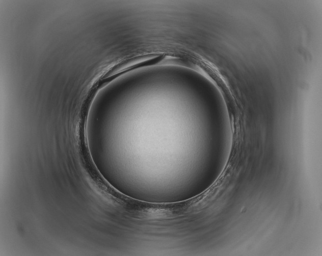 X0000113960154200909251408