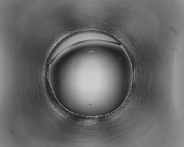 X0000113960156200909251408