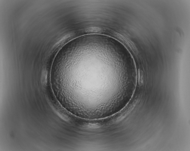 X0000113960157200909251408