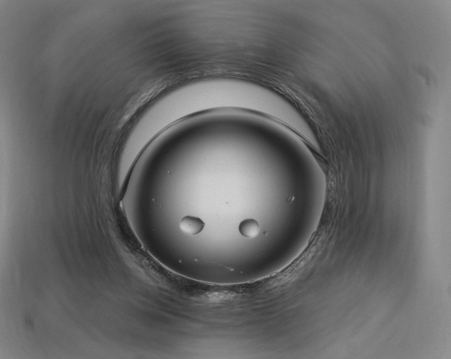 X0000113960158200909251408