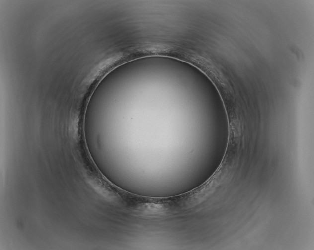 X0000113960159200909251408