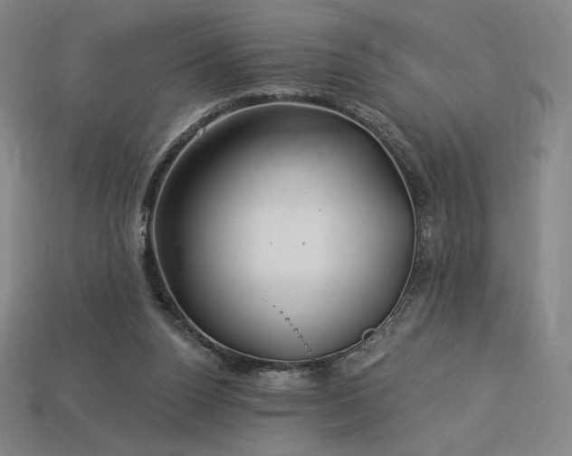 X0000113960160200909251408