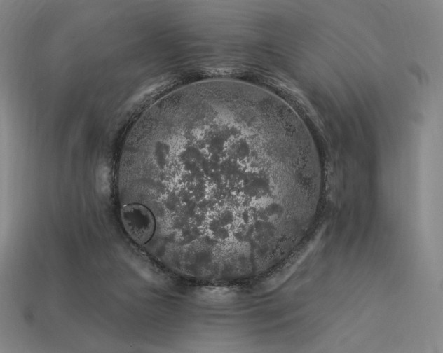 X0000113960161200909251408