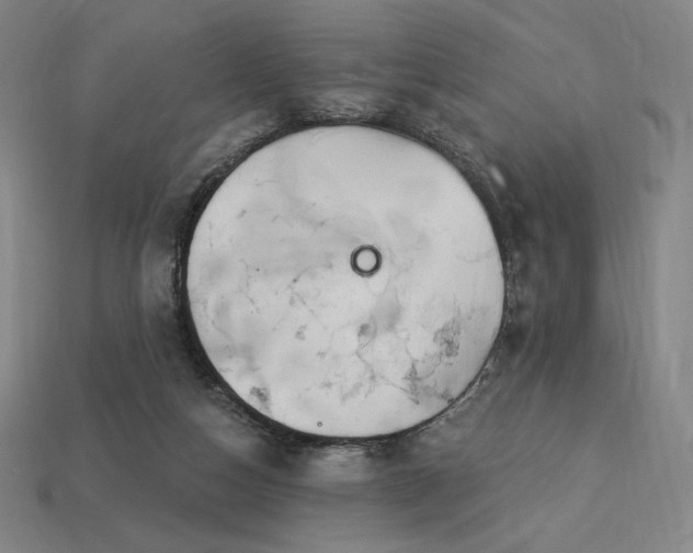 X0000113960162200909251408