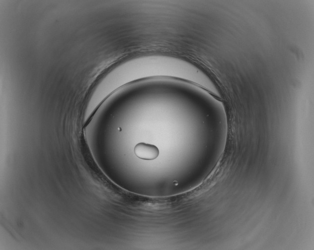 X0000113960164200909251408