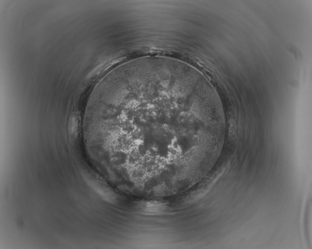 X0000113960165200909251408