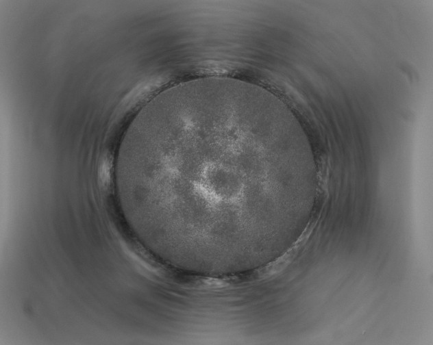 X0000113960166200909251408