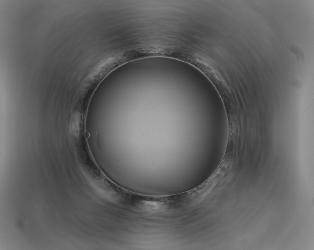 X0000113960167200909251408