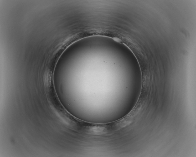 X0000113960168200909251408