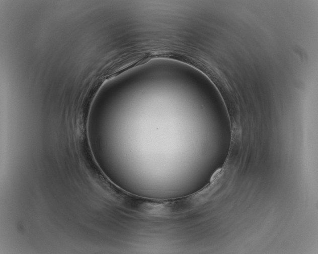 X0000113960170200909251408