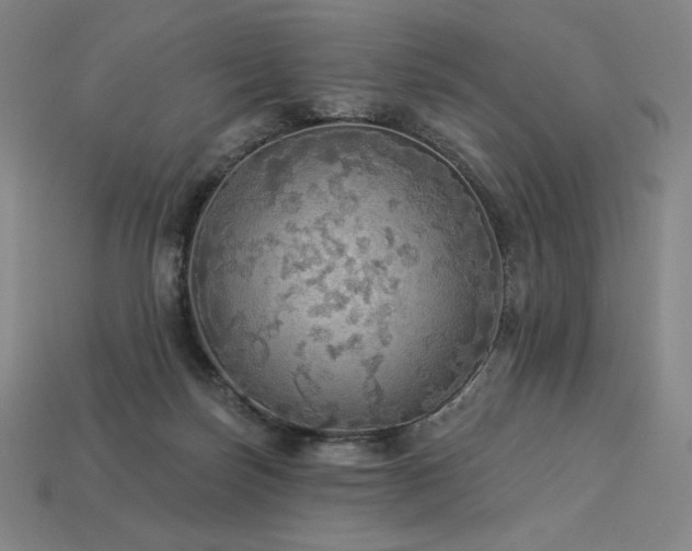 X0000113960171200909251408