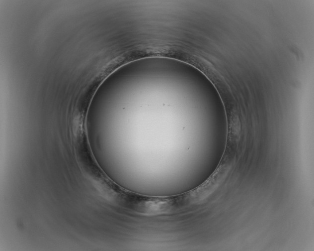 X0000113960172200909251408