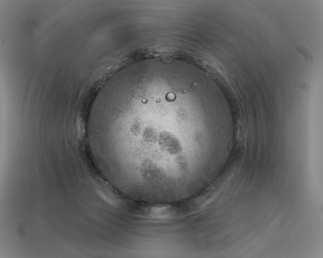 X0000113960173200909251408