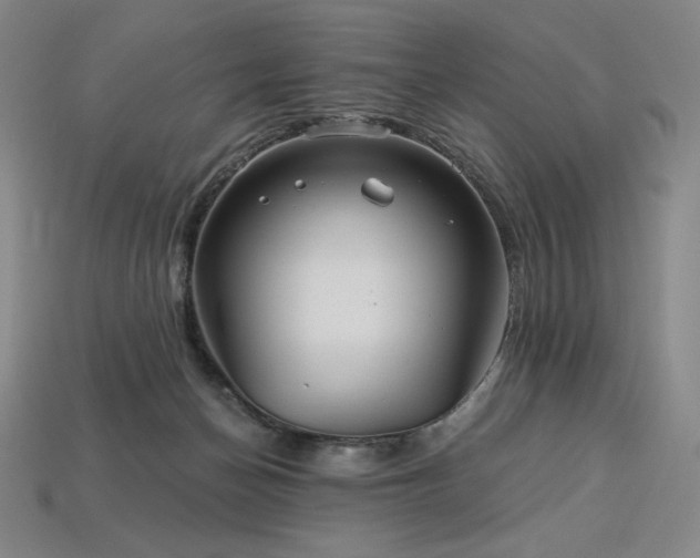 X0000113960174200909251408