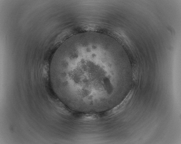 X0000113960175200909251408