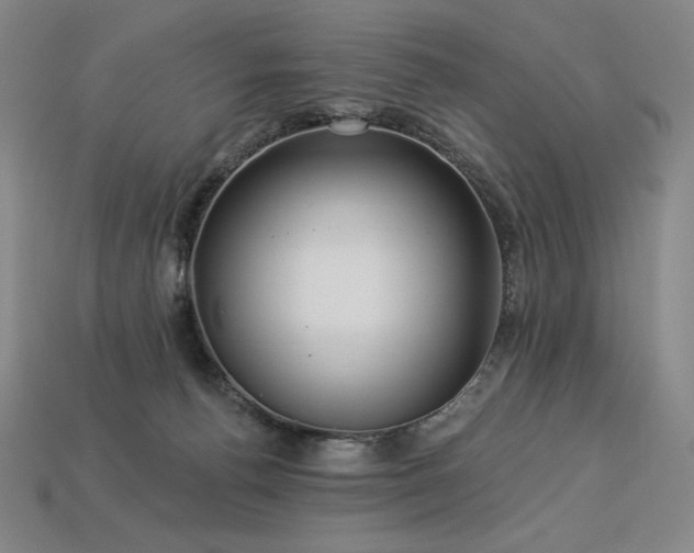 X0000113960176200909251408