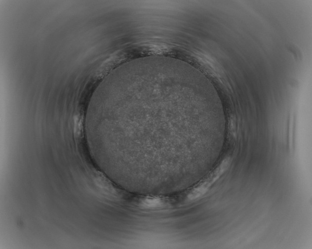 X0000113960177200909251408