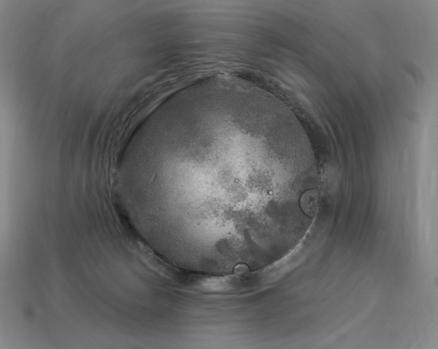 X0000113960178200909251408