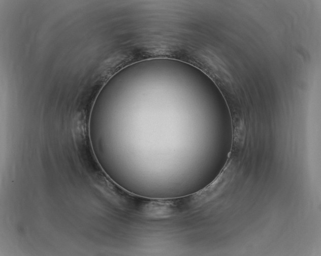 X0000113960179200909251408