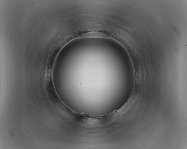 X0000113960180200909251408