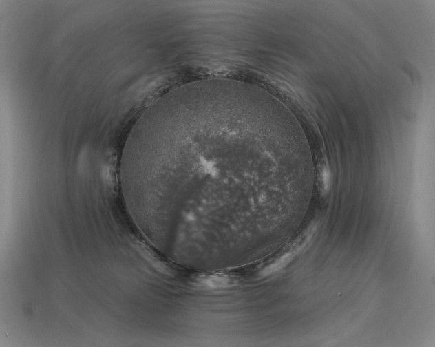 X0000113960181200909251408