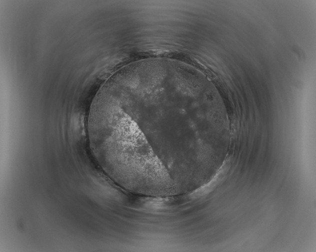 X0000113960182200909251408