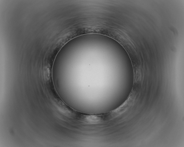 X0000113960183200909251408