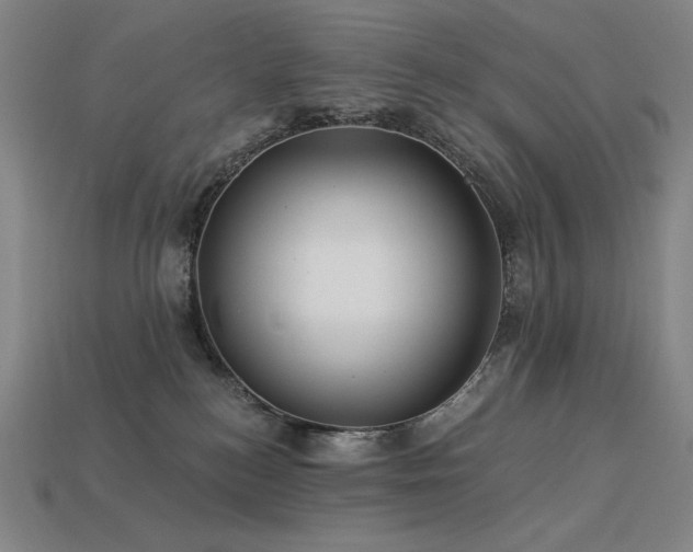 X0000113960184200909251408