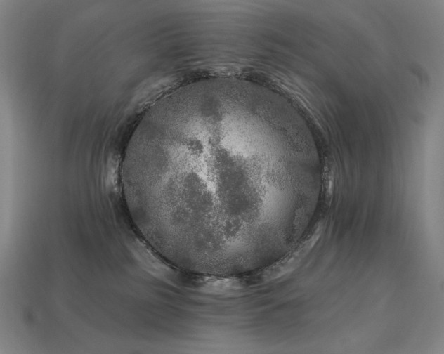 X0000113960185200909251408