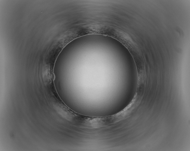 X0000113960186200909251408