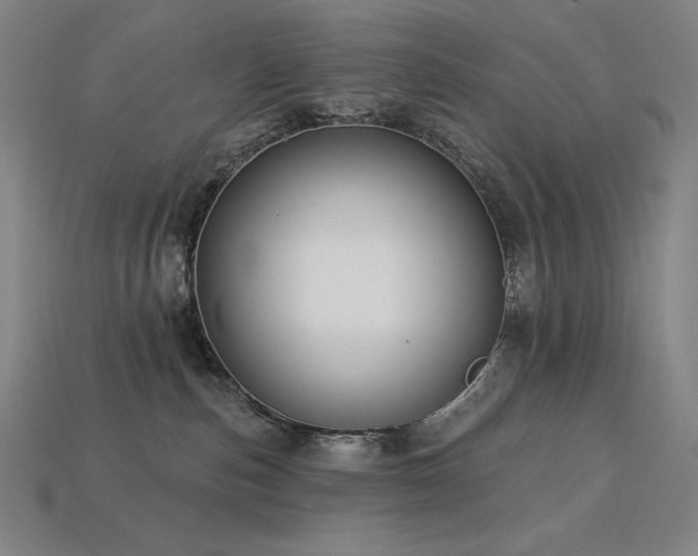 X0000113960187200909251408