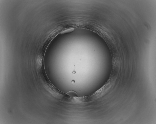 X0000113960188200909251408